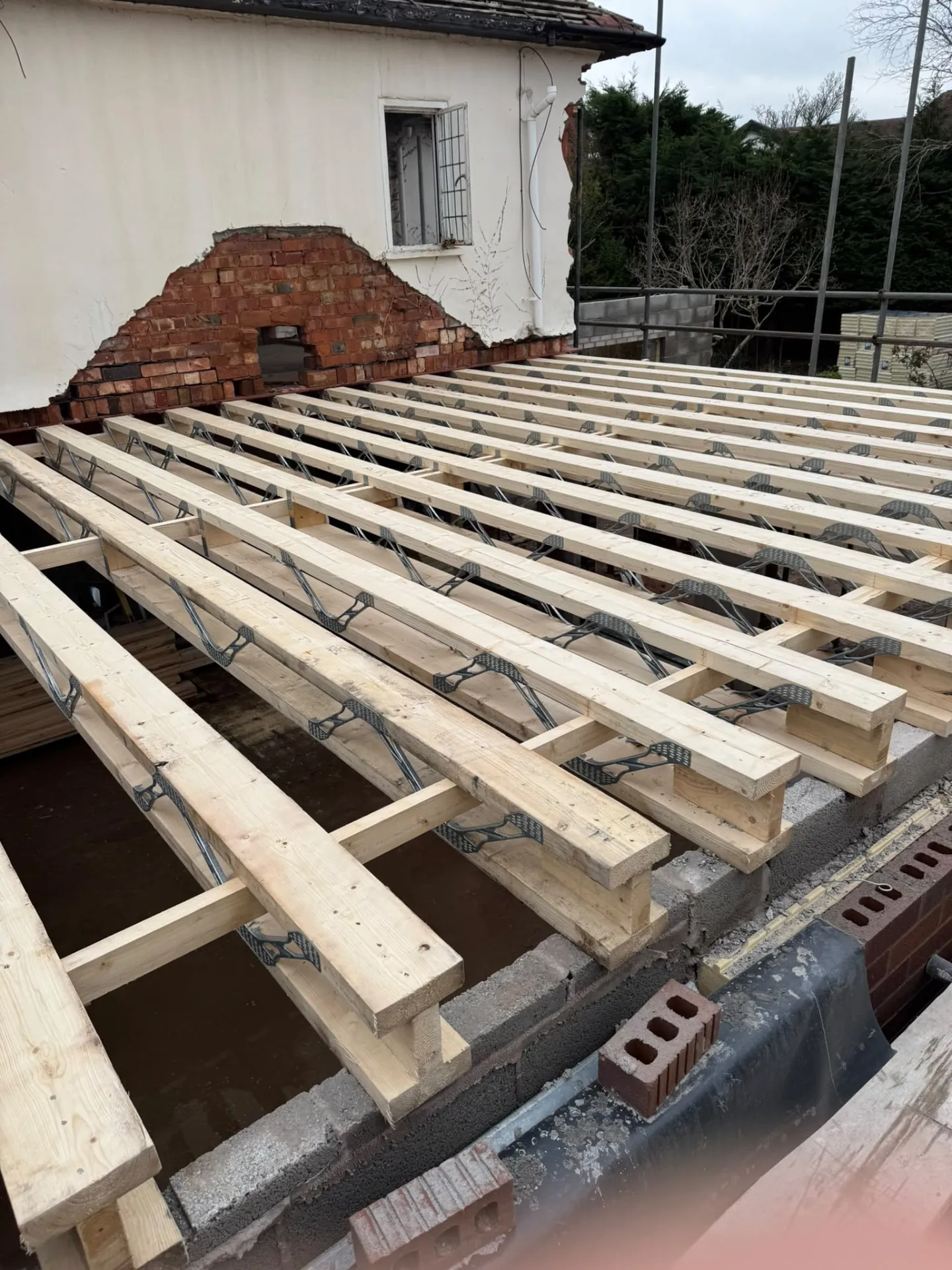Newly installed timber roof joists over a house extension